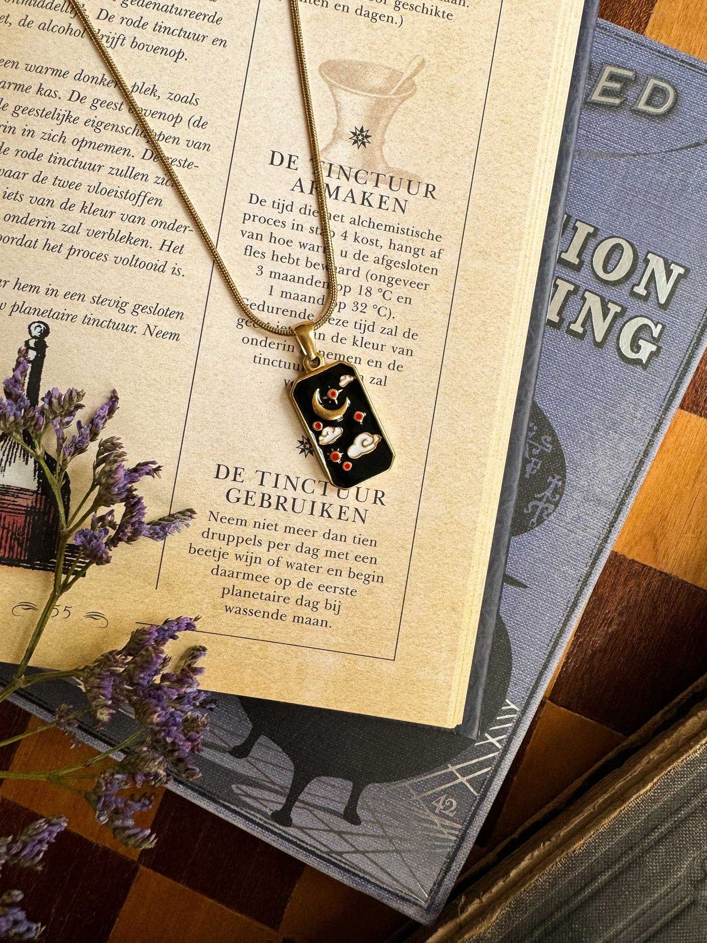 Minimalistische ketting met bedel maan goud