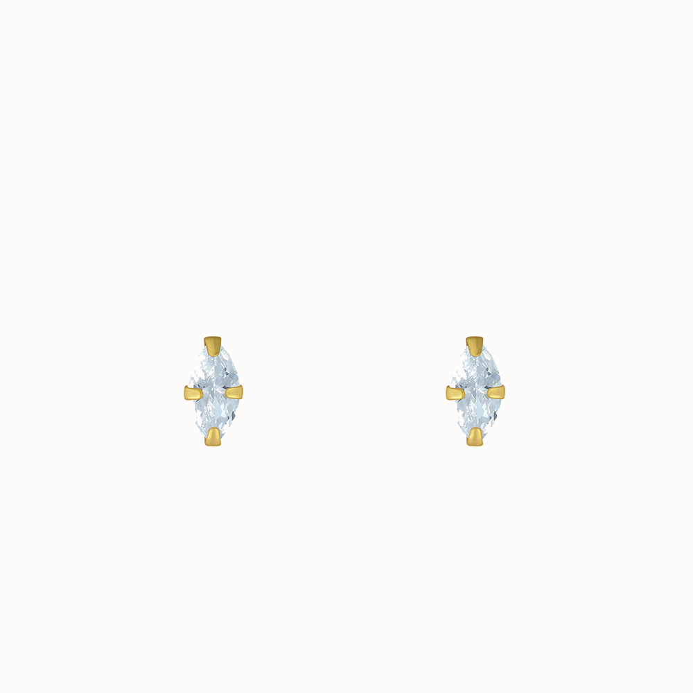Oorbellen Zirconia