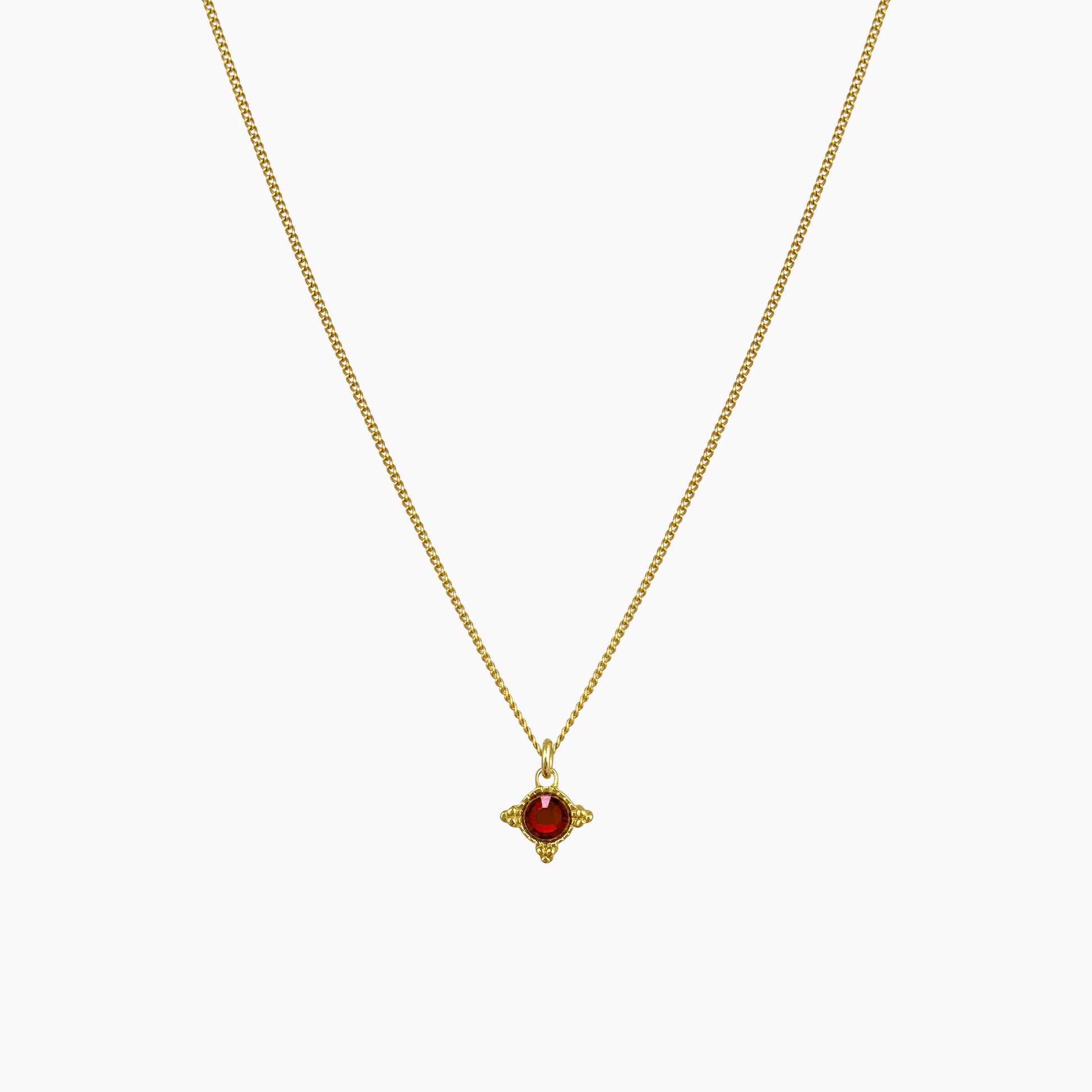Birthstone ketting goud januari