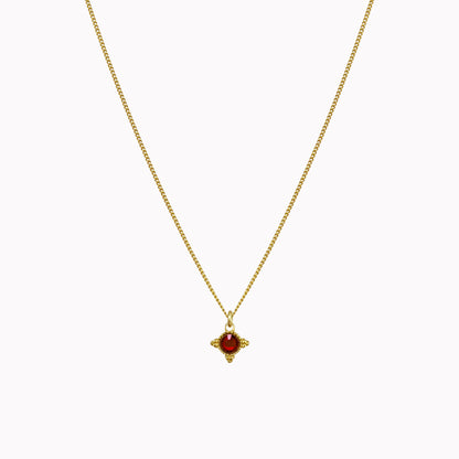 Birthstone ketting goud januari