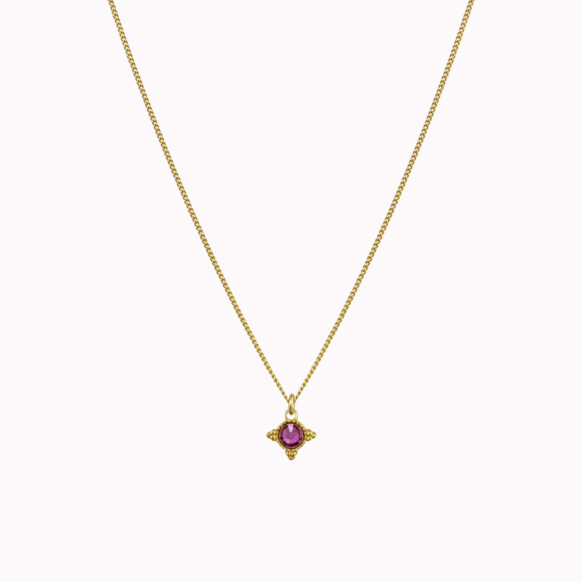 Birthstone ketting goud februari