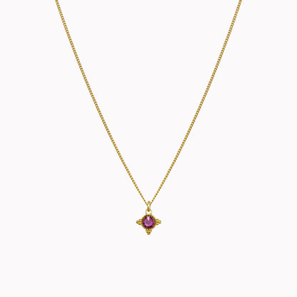 Birthstone ketting goud februari