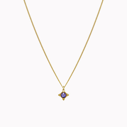 Birthstone ketting goud juni