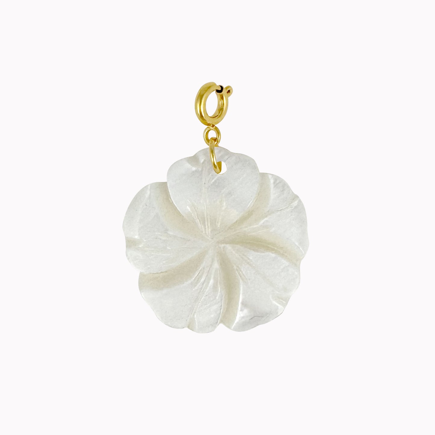 Bedel met witte schelp bloem