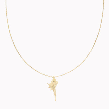 Ketting Schelp Goud
